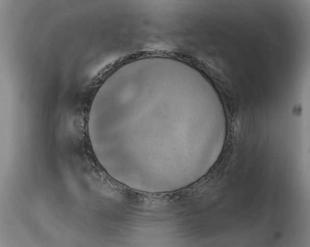 X0000115451254200911181539