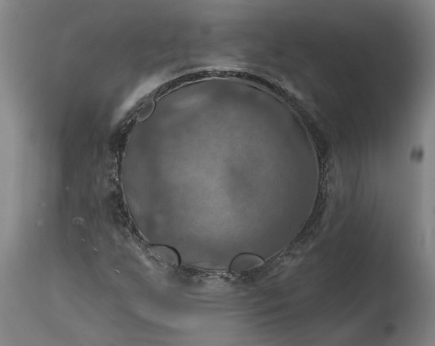 X0000115451255200911181539