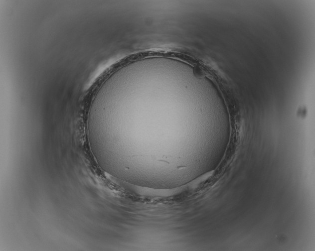 X0000115451256200911181539