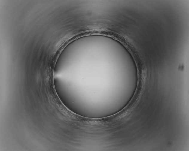 X0000115451257200911181539