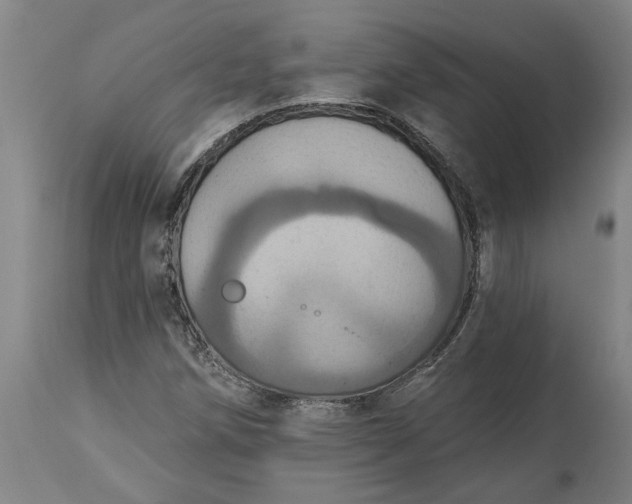 X0000115451258200911181539