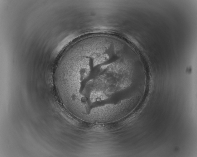 X0000115451259200911181539