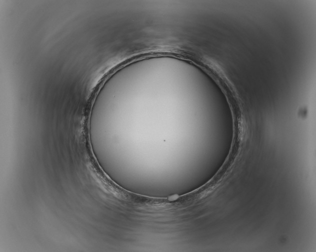 X0000115451260200911181539