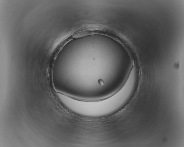 X0000115451261200911181539