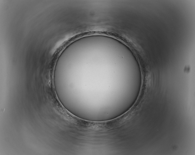 X0000115451262200911181539