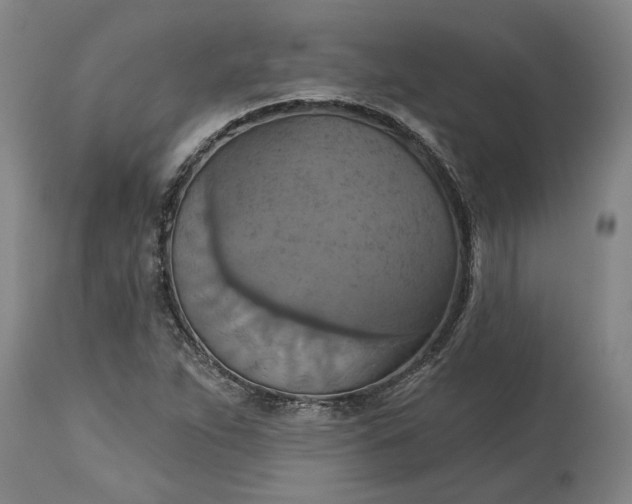 X0000115451263200911181539