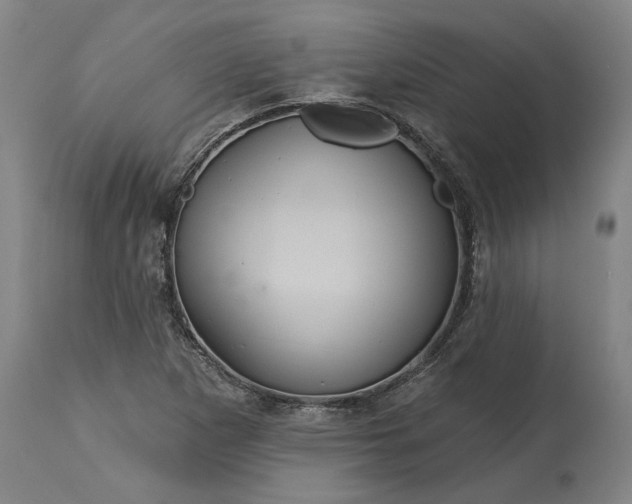 X0000115451265200911181539