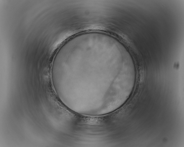 X0000115451266200911181539