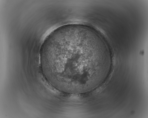 X0000115451267200911181539