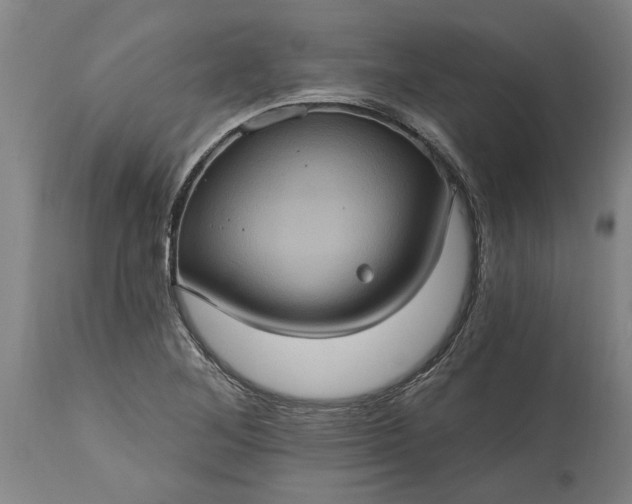 X0000115451268200911181539