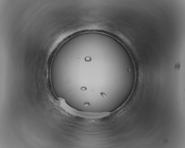 X0000115451270200911181539