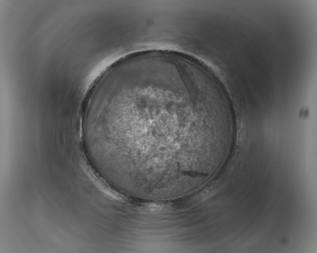 X0000115451271200911181539