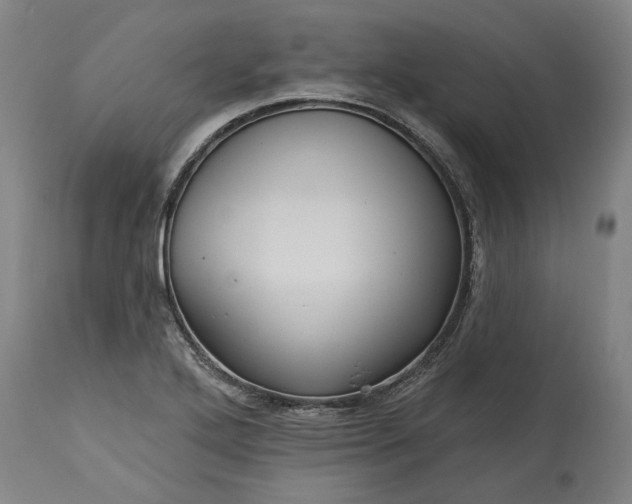 X0000115451272200911181538