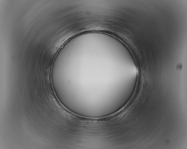 X0000115451273200911181538