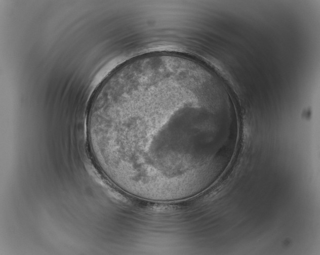 X0000115451274200911181538