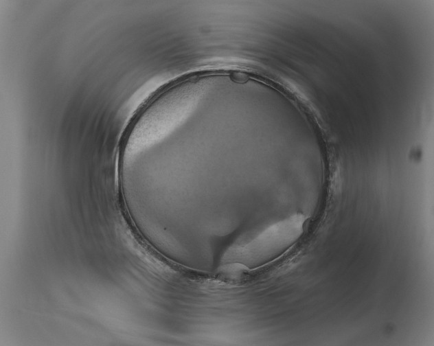 X0000115451275200911181538