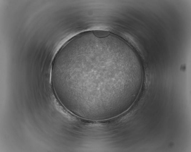 X0000115451276200911181538