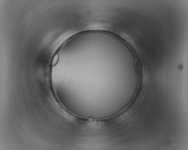 X0000115451277200911181538