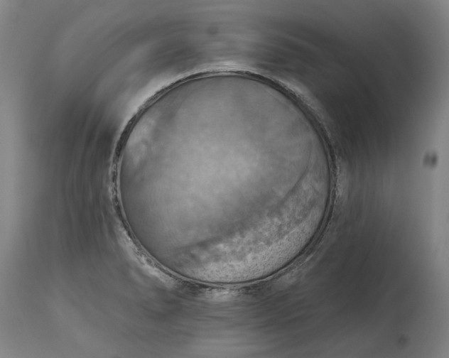 X0000115451278200911181538