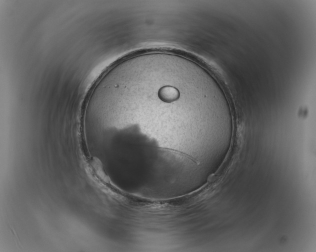 X0000115451279200911181538