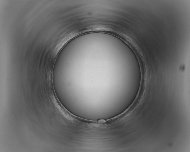 X0000115451281200911181538