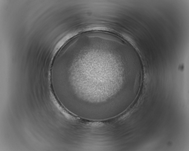 X0000115451282200911181538