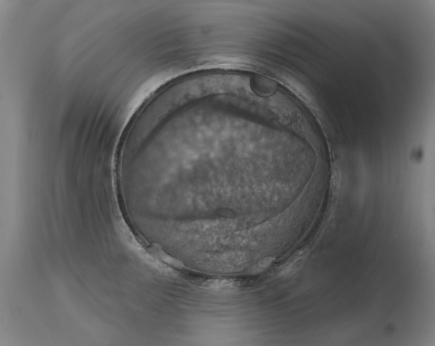 X0000115451283200911181538