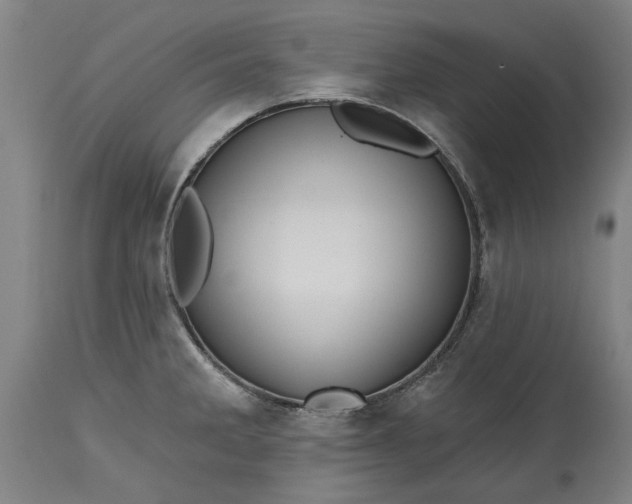 X0000115451285200911181538