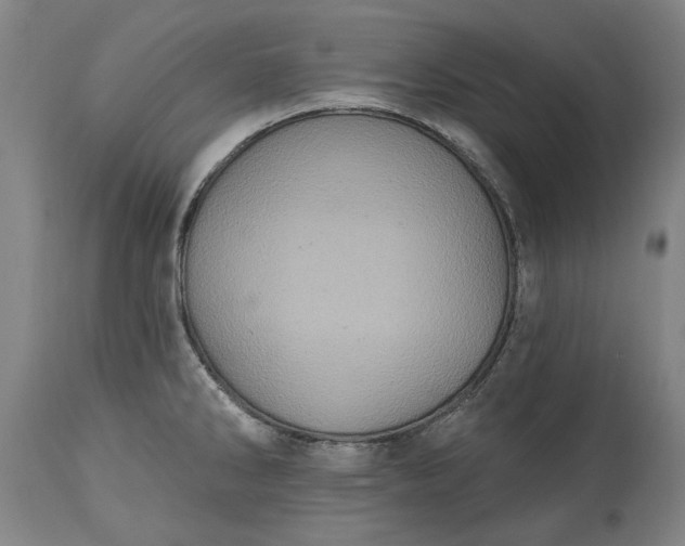 X0000115451286200911181538