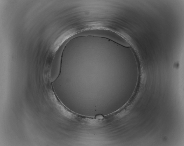 X0000115451289200911181538