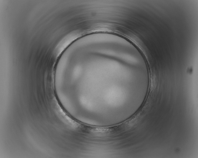 X0000115451290200911181538