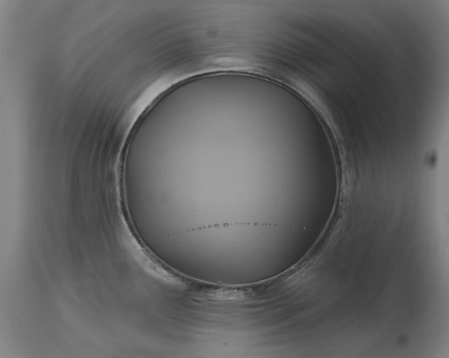 X0000115451291200911181538