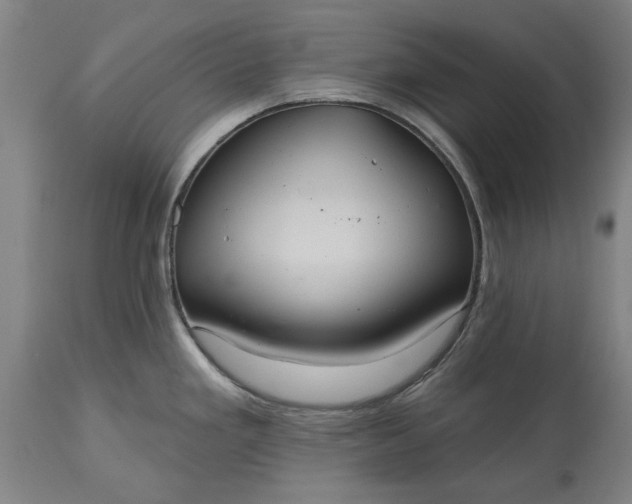 X0000115451293200911181538