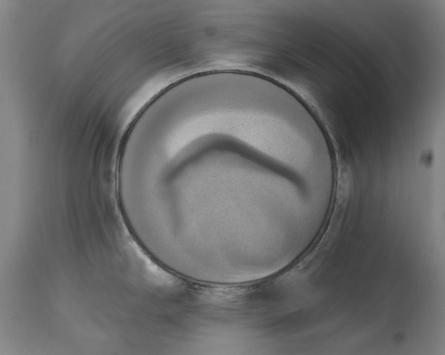 X0000115451294200911181538