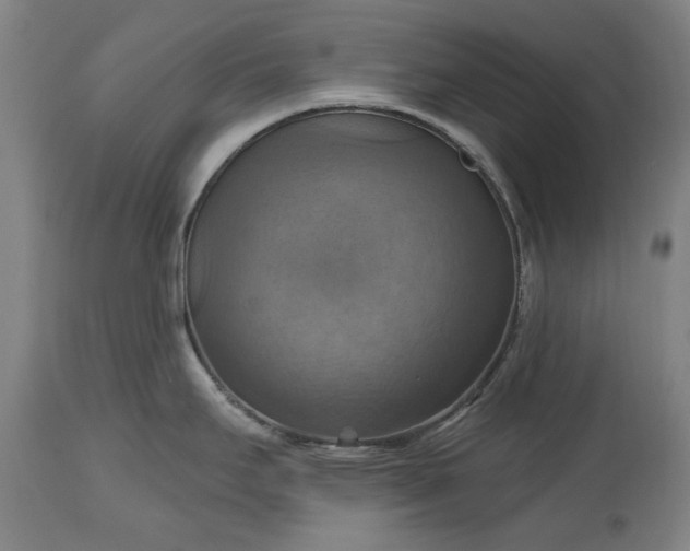 X0000115451295200911181538