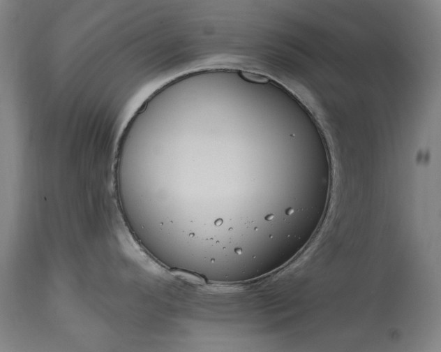 X0000115451296200911181538