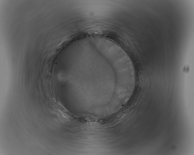 X0000115451297200911181537