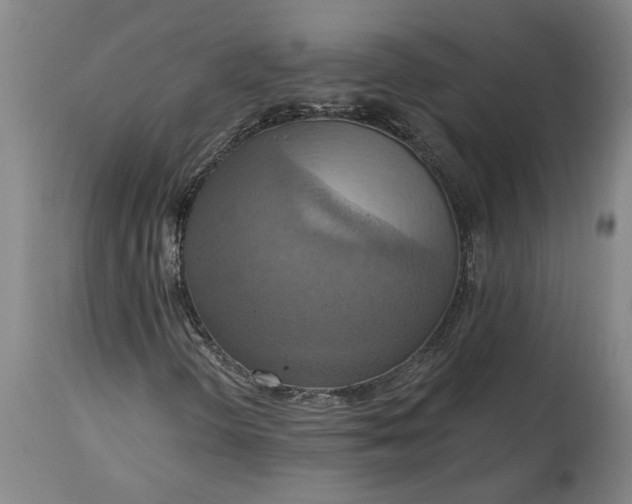 X0000115451298200911181537