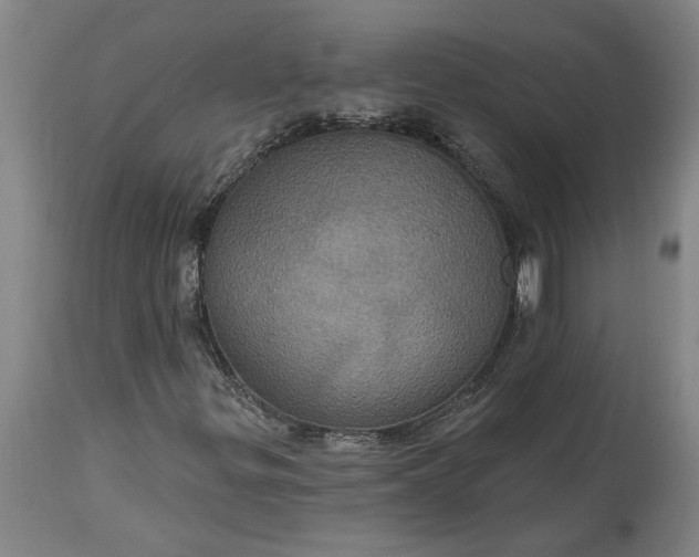 X0000115451299200911181537