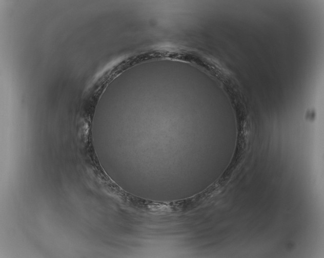 X0000115451302200911181537