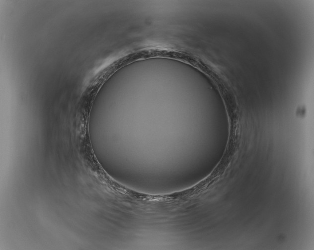 X0000115451303200911181537