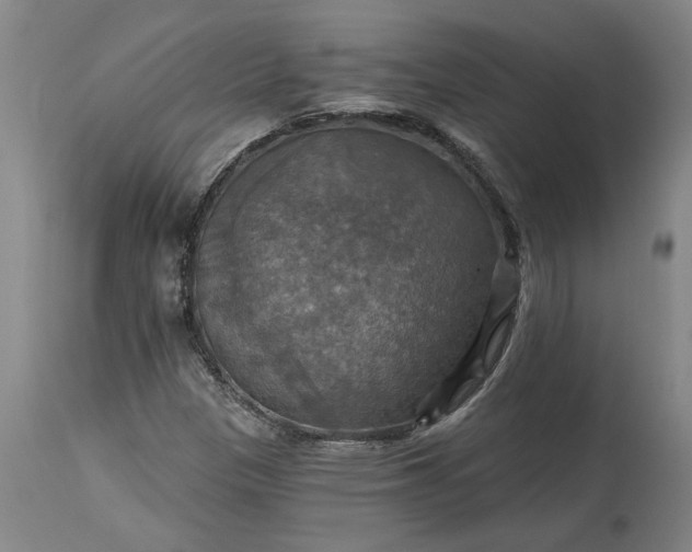 X0000115451305200911181537