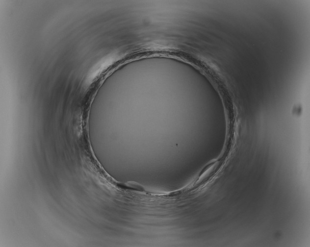 X0000115451306200911181537