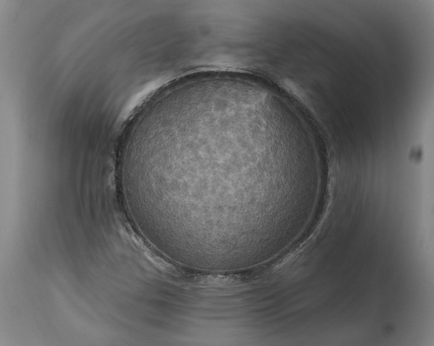 X0000115451307200911181537