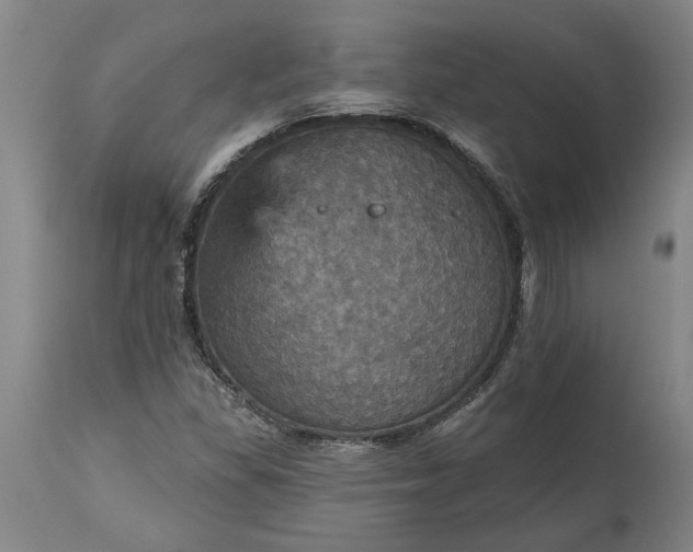 X0000115451309200911181537