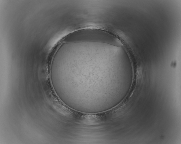 X0000115451310200911181537