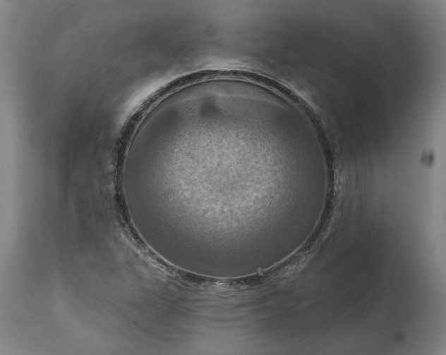 X0000115451311200911181538