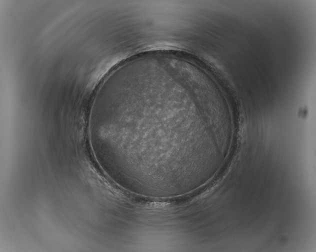 X0000115451313200911181538