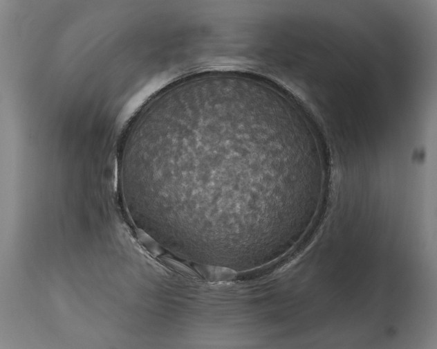 X0000115451317200911181538