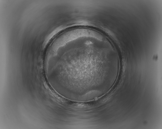 X0000115451318200911181538